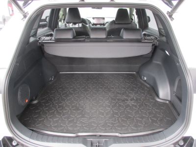 Toyota RAV4 Gebrauchtwagen