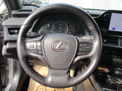 Lexus UX Gebrauchtwagen