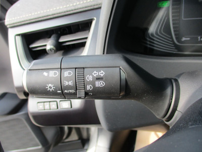 Lexus UX Gebrauchtwagen