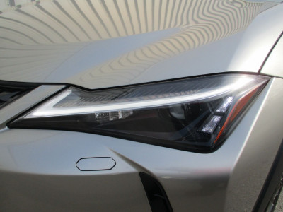 Lexus UX Gebrauchtwagen