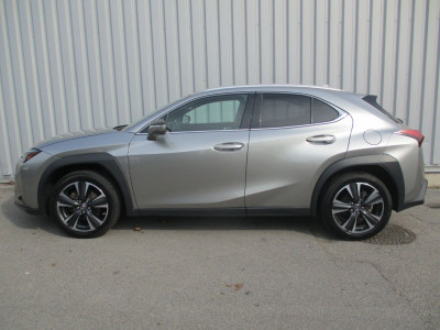 Lexus UX Gebrauchtwagen
