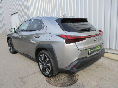 Lexus UX Gebrauchtwagen
