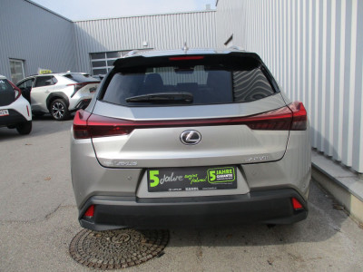 Lexus UX Gebrauchtwagen