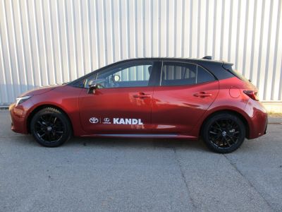 Toyota Corolla Vorführwagen