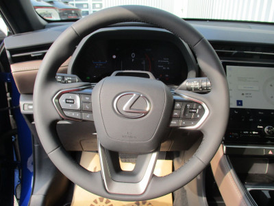 Lexus LBX Vorführwagen