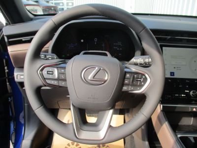 Lexus LBX Vorführwagen