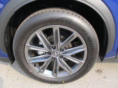 Lexus LBX Vorführwagen