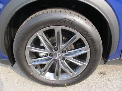Lexus LBX Vorführwagen