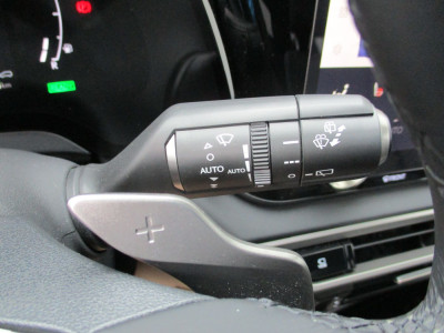 Lexus RX Vorführwagen