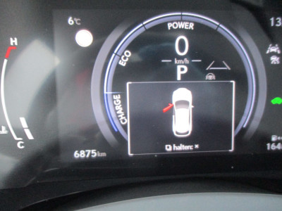 Lexus RX Vorführwagen