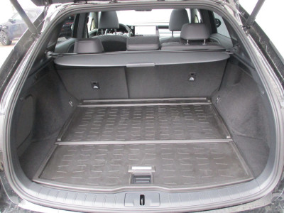 Lexus RX Vorführwagen