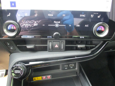 Lexus NX Gebrauchtwagen