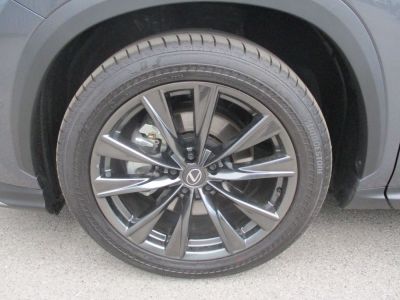 Lexus NX Gebrauchtwagen