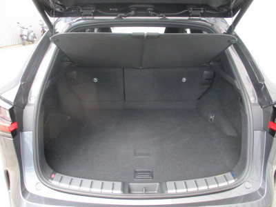 Lexus NX Gebrauchtwagen