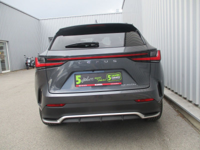 Lexus NX Gebrauchtwagen
