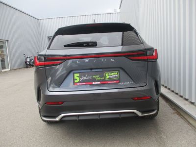 Lexus NX Gebrauchtwagen