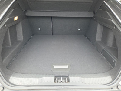 Renault Arkana Gebrauchtwagen