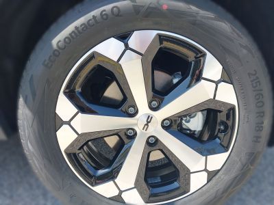 Dacia Bigster Vorführwagen