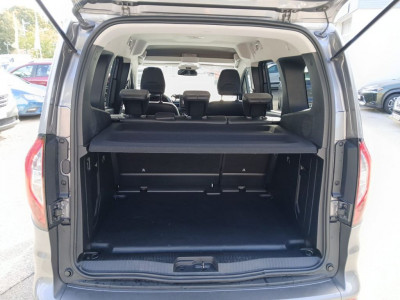 Renault Kangoo Gebrauchtwagen