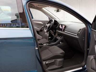 Skoda Karoq Gebrauchtwagen