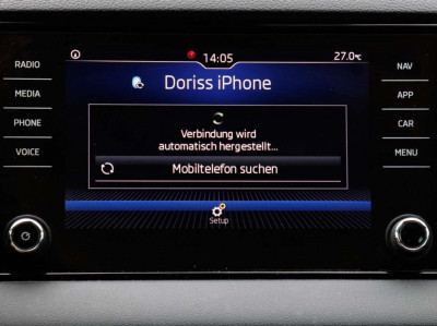 Skoda Karoq Gebrauchtwagen