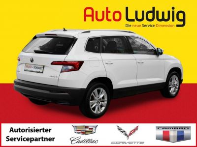 Skoda Karoq Gebrauchtwagen