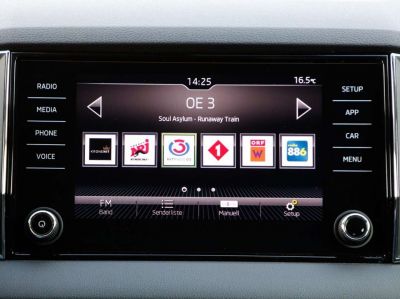 Skoda Karoq Gebrauchtwagen