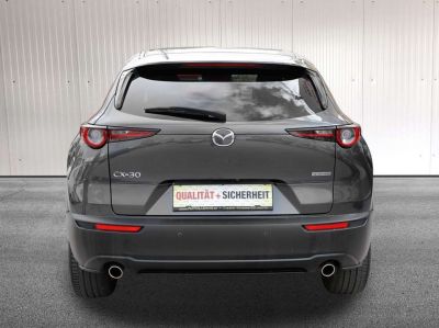 Mazda CX-30 Gebrauchtwagen