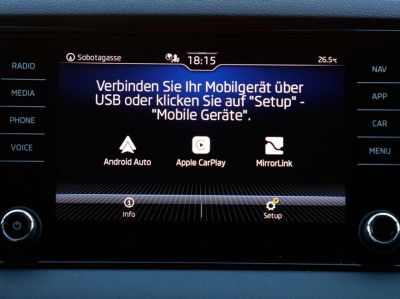 Skoda Karoq Gebrauchtwagen