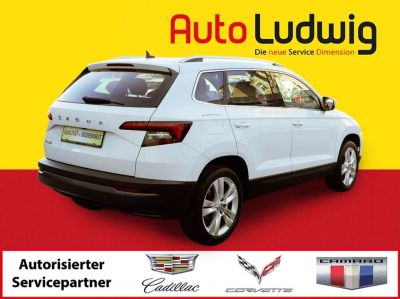 Skoda Karoq Gebrauchtwagen