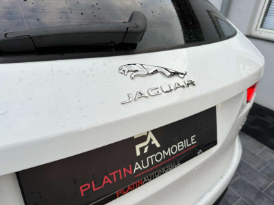 Jaguar F-Pace Gebrauchtwagen