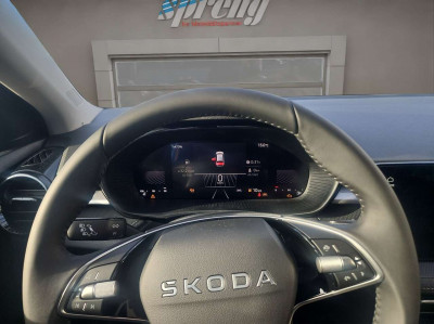 Skoda Fabia Neuwagen