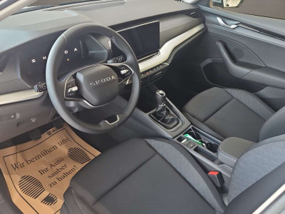 Skoda Octavia Vorführwagen