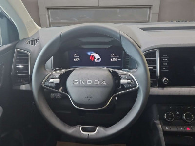 Skoda Karoq Neuwagen