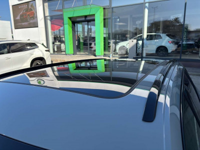 Skoda Octavia Vorführwagen