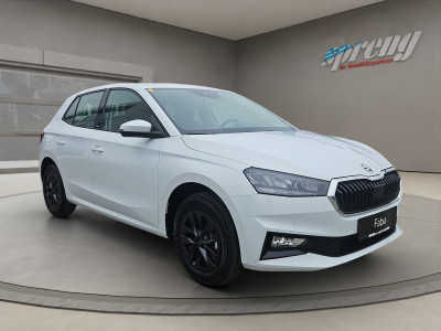 Skoda Fabia Gebrauchtwagen Skoda Fabia Gebrauchtwagen