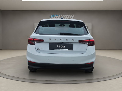 Skoda Fabia Gebrauchtwagen Skoda Fabia Gebrauchtwagen