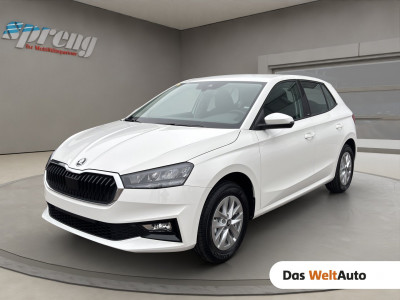 Skoda Fabia Gebrauchtwagen Skoda Fabia Gebrauchtwagen