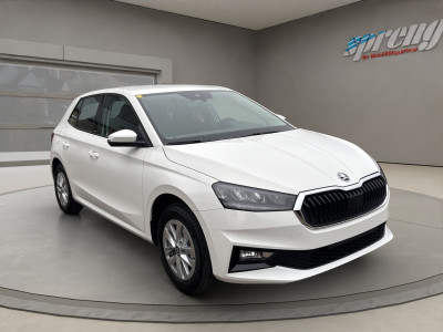Skoda Fabia Gebrauchtwagen Skoda Fabia Gebrauchtwagen