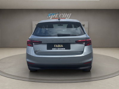 Skoda Fabia Gebrauchtwagen Skoda Fabia Gebrauchtwagen