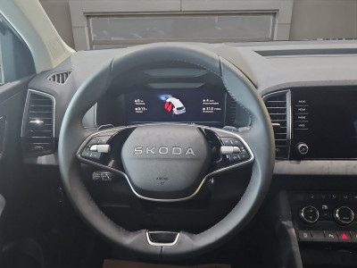 Skoda Karoq Gebrauchtwagen Skoda Karoq Gebrauchtwagen