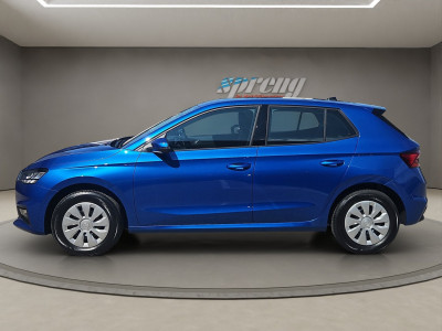 Skoda Fabia Gebrauchtwagen Skoda Fabia Gebrauchtwagen