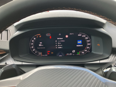 Cupra Terramar Gebrauchtwagen Cupra Terramar Gebrauchtwagen