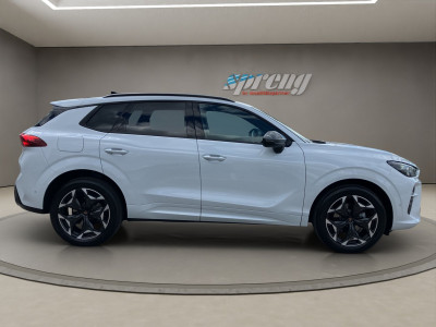 Cupra Terramar Gebrauchtwagen Cupra Terramar Gebrauchtwagen