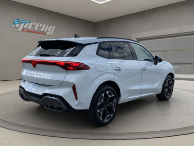 Cupra Terramar Gebrauchtwagen Cupra Terramar Gebrauchtwagen
