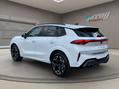 Cupra Terramar Gebrauchtwagen Cupra Terramar Gebrauchtwagen