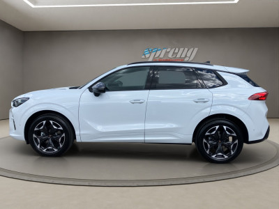 Cupra Terramar Gebrauchtwagen Cupra Terramar Gebrauchtwagen