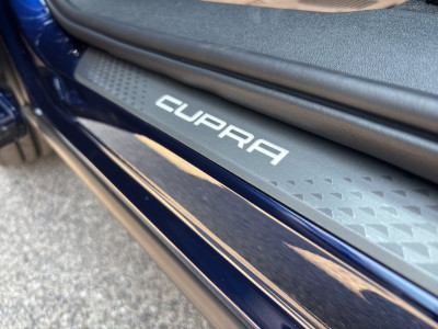 Cupra Terramar Gebrauchtwagen Cupra Terramar Gebrauchtwagen