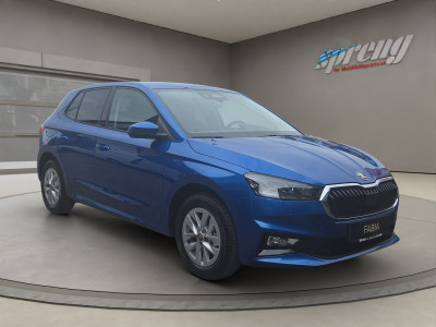 Skoda Fabia Gebrauchtwagen Skoda Fabia Gebrauchtwagen