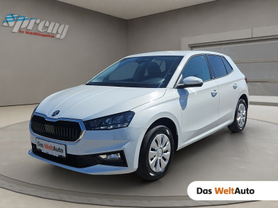 Skoda Fabia Gebrauchtwagen Skoda Fabia Gebrauchtwagen